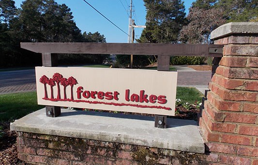 Forest Lakes